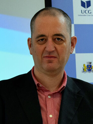 Nasi-saradnici-Nikola-Golubovic-1